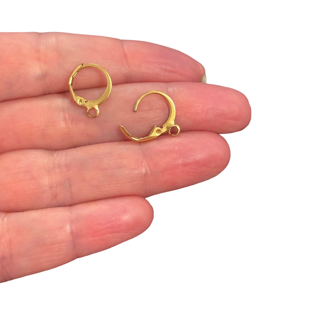 Waterproof Hypoallergenic Stainless Steel PVD Gold Plated Hinged Hoop Earrings – 12mm, Pair