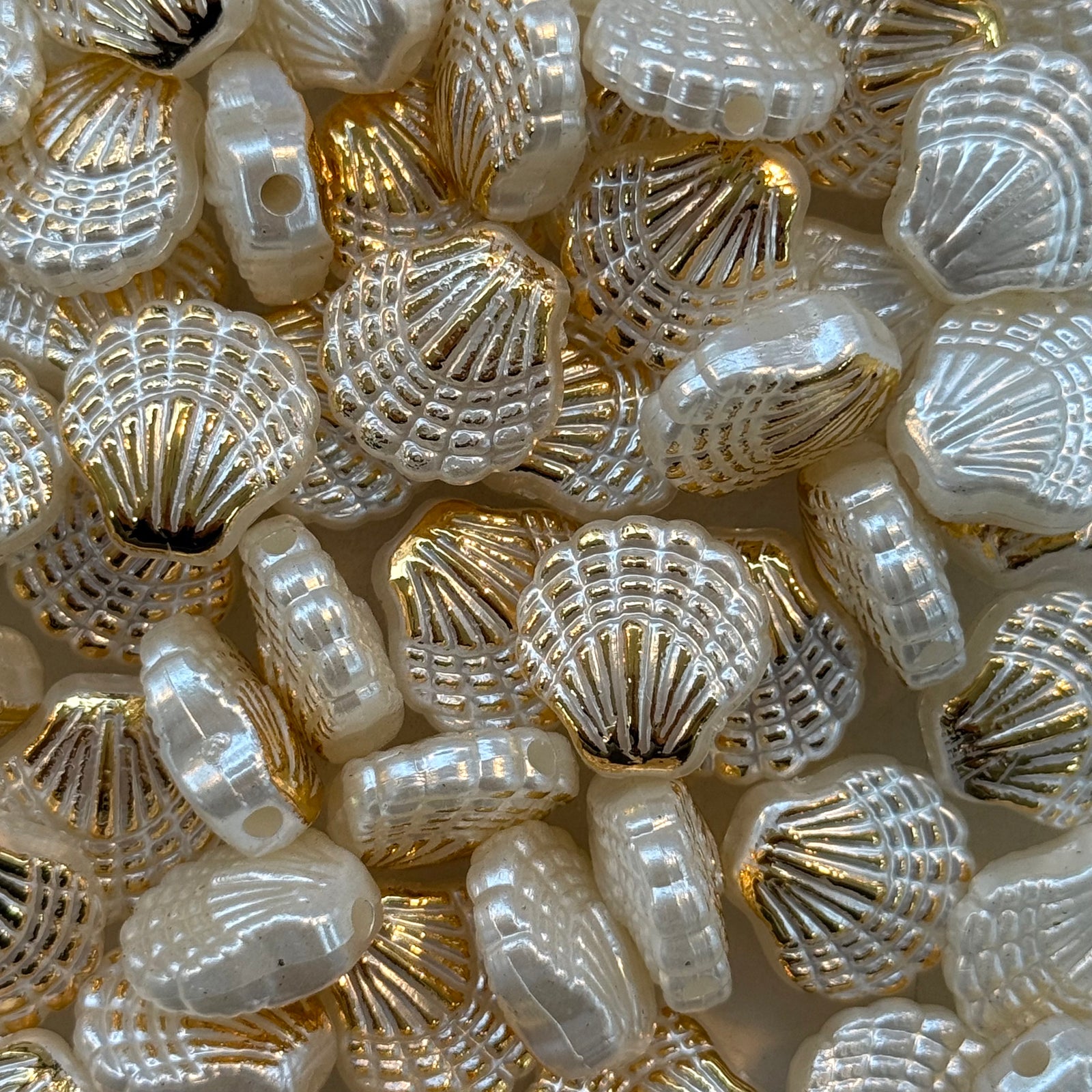 Pearl White & Gold Scallop Shell Beads