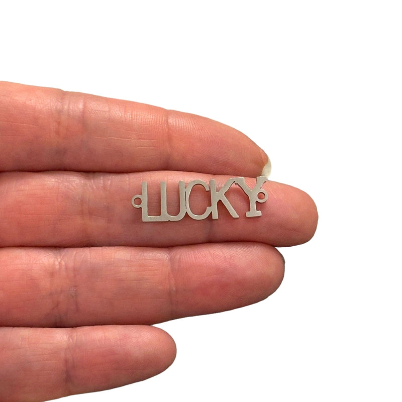 Stainless Steel Lucky Connector Charm