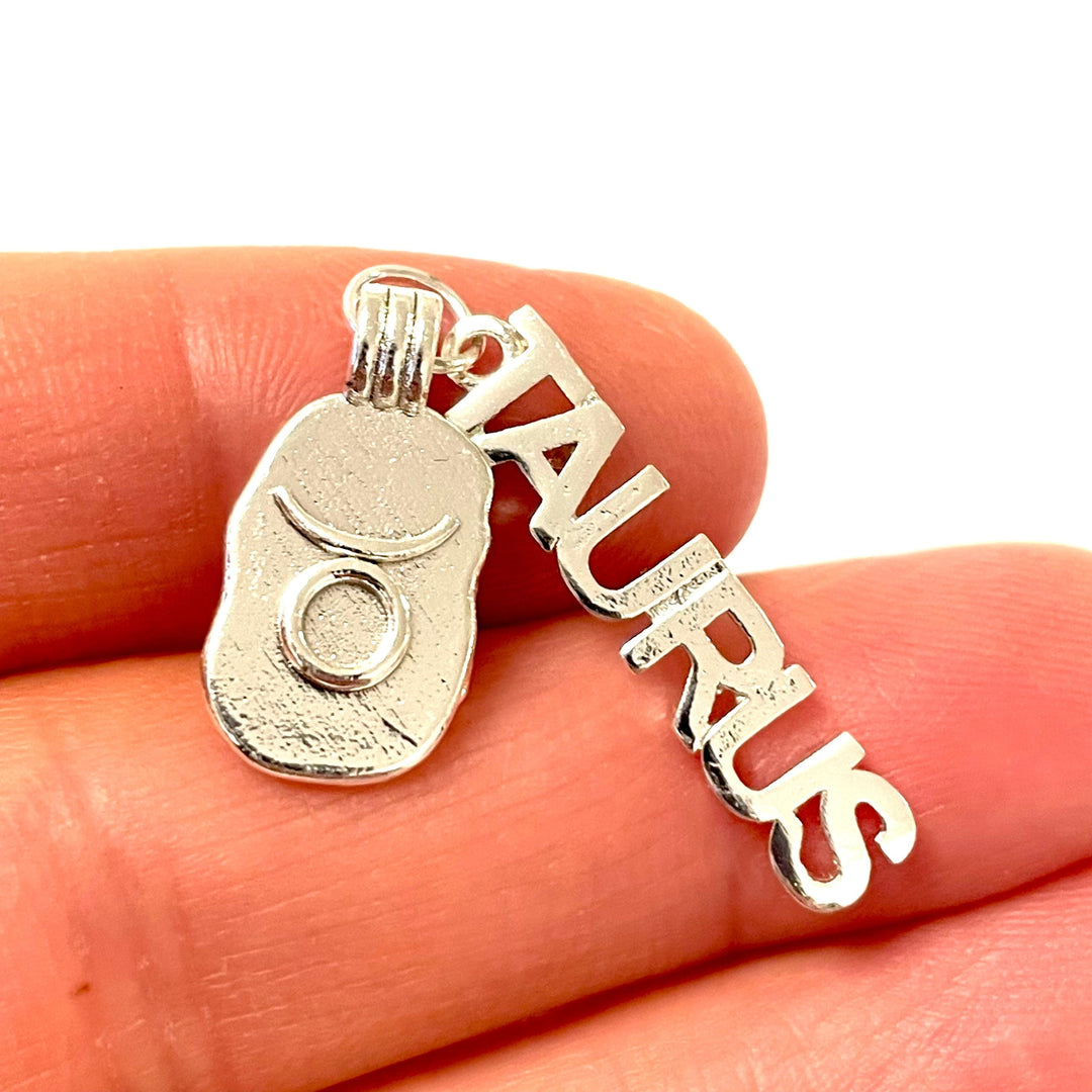 Silver Plated Brass Zodiac Horoscope Sign, Constellation Medallion Pendant,Celestial Astrology Charm-Chain&amp;Jump Rings Not Included