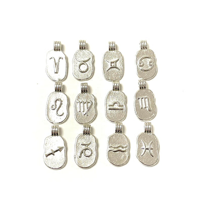 Silver Plated Brass Zodiac Horoscope Sign, Constellation Medallion Pendant,  Celestial Astrology Charm for Necklace Jewelry Making