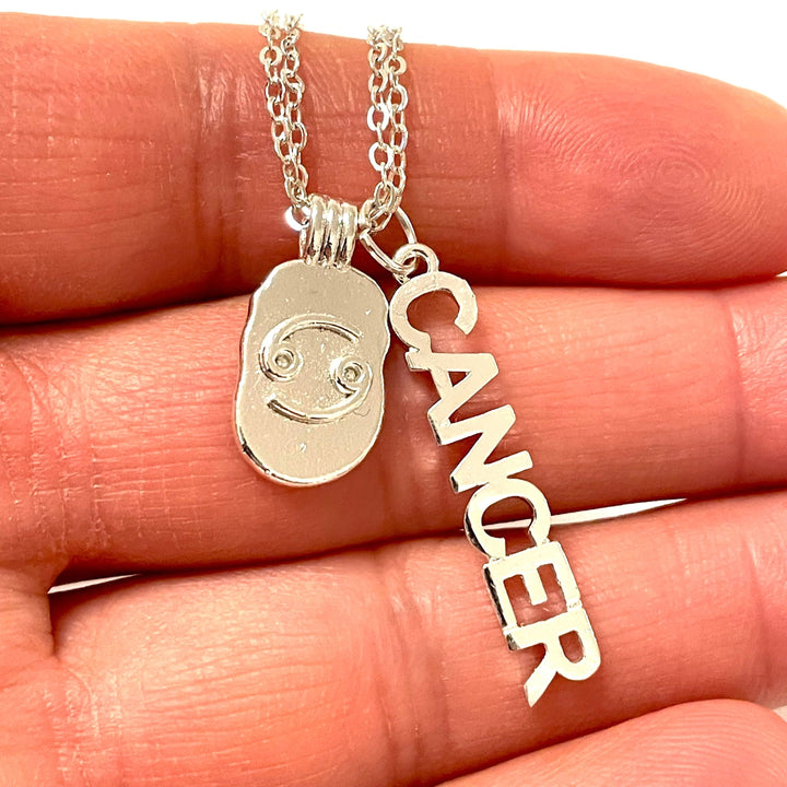 Silver Plated Brass Zodiac Horoscope Sign, Constellation Medallion Pendant,Celestial Astrology Charm-Chain&amp;Jump Rings Not Included