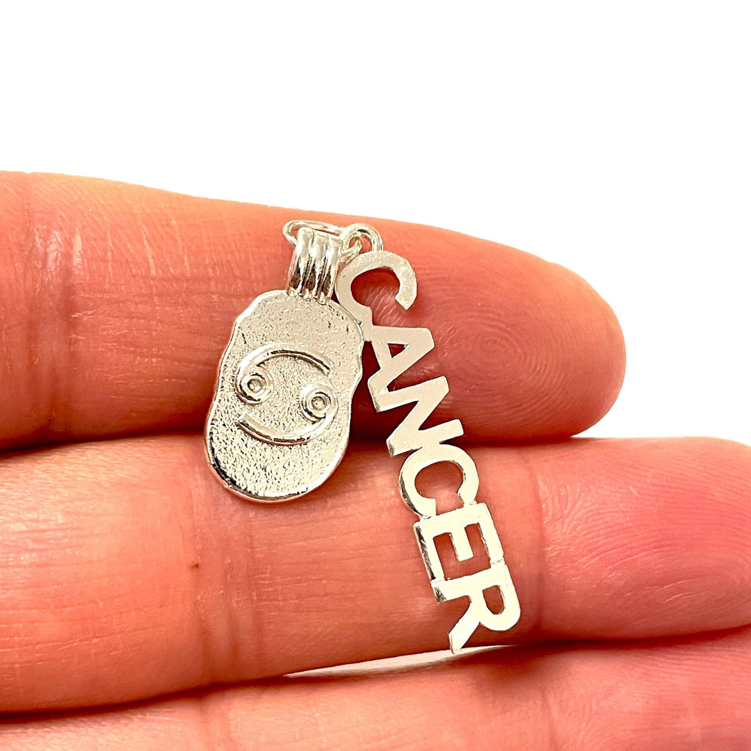Silver Plated Brass Zodiac Horoscope Sign, Constellation Medallion Pendant,Celestial Astrology Charm-Chain&amp;Jump Rings Not Included