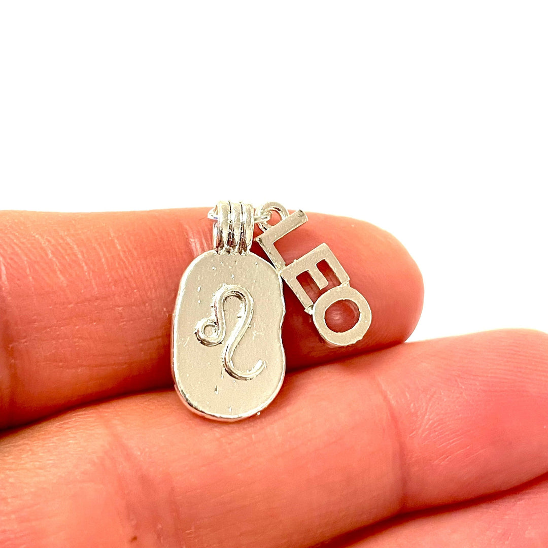 Silver Plated Brass Zodiac Horoscope Sign, Constellation Medallion Pendant,Celestial Astrology Charm-Chain&amp;Jump Rings Not Included