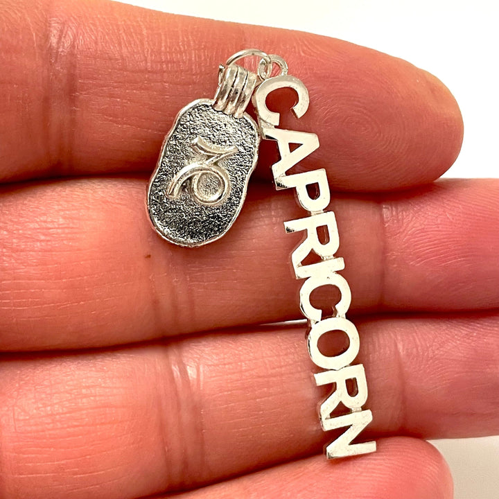 Silver Plated Brass Zodiac Horoscope Sign, Constellation Medallion Pendant,Celestial Astrology Charm-Chain&amp;Jump Rings Not Included