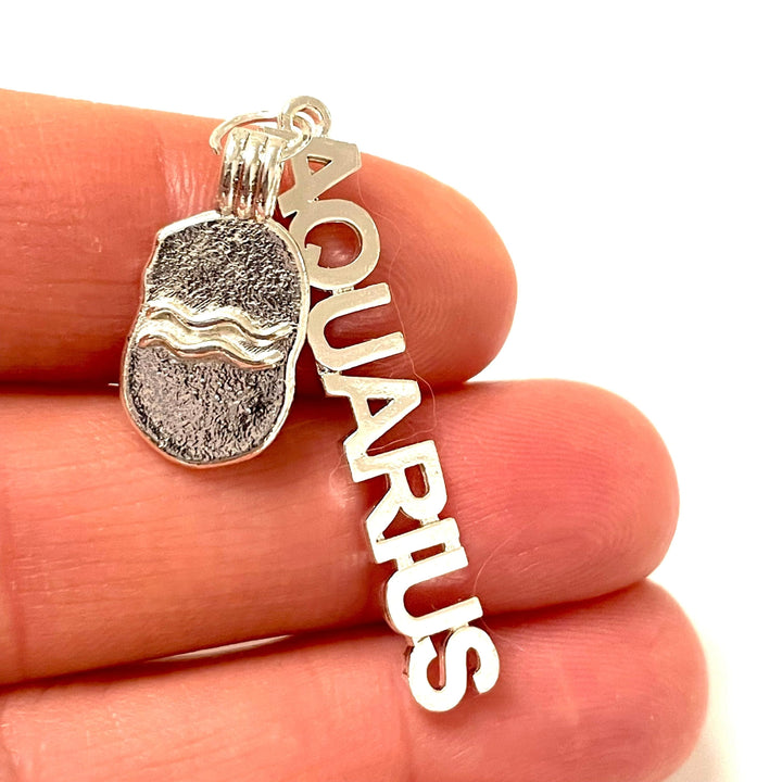 Silver Plated Brass Zodiac Horoscope Sign, Constellation Medallion Pendant,Celestial Astrology Charm-Chain&amp;Jump Rings Not Included