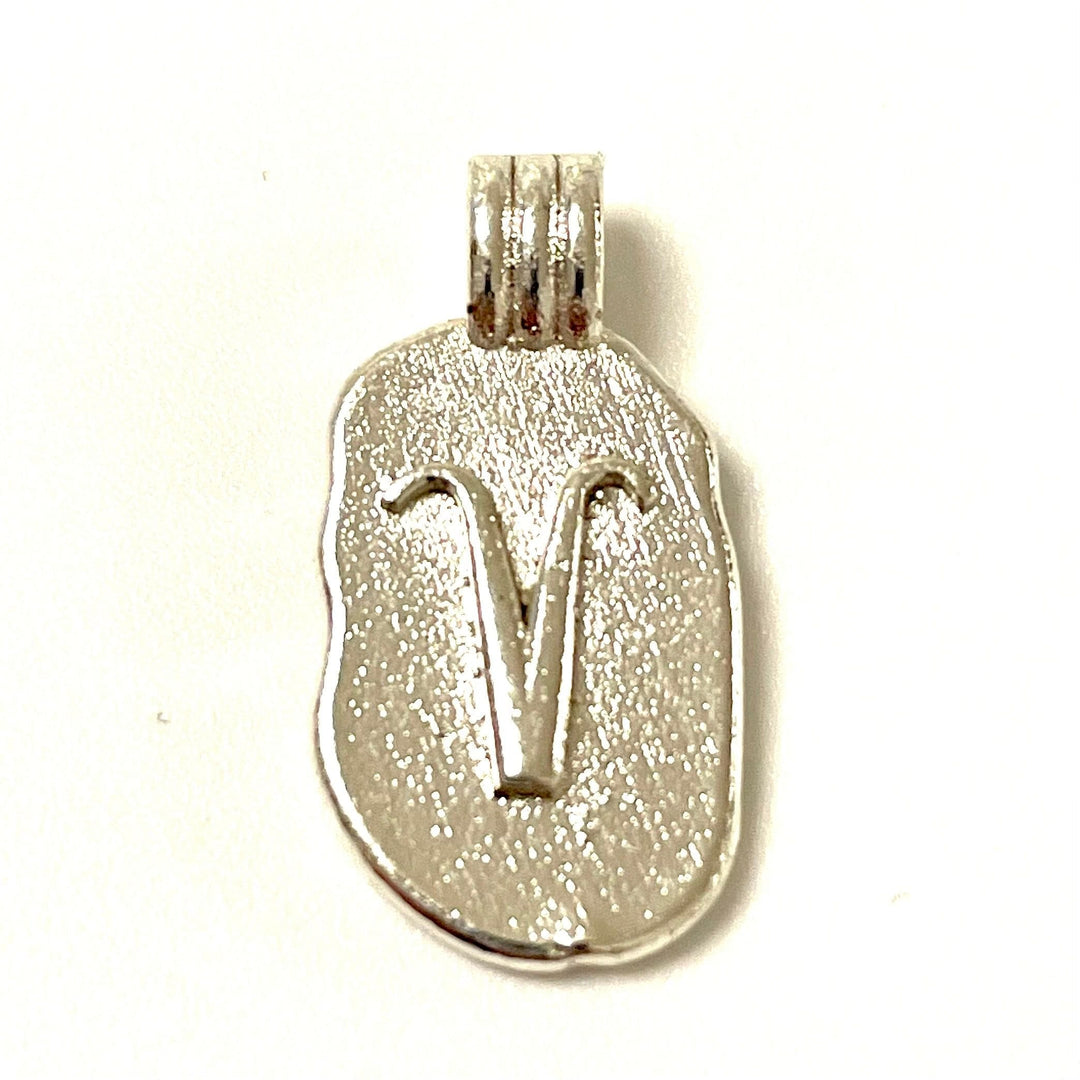 Silver Plated Brass Zodiac Horoscope Sign, Constellation Medallion Pendant, Celestial Astrology Charm for Necklace Jewelry Making