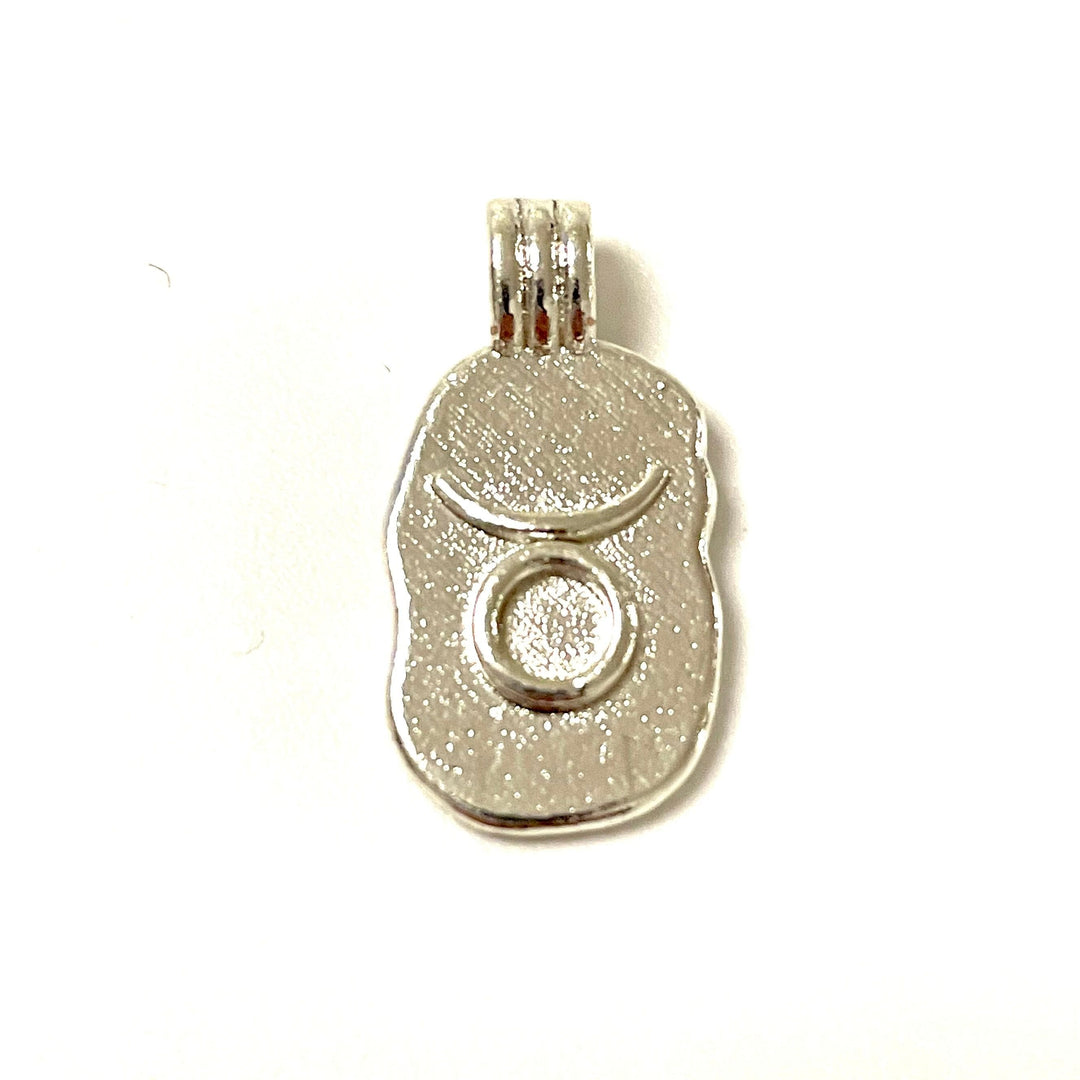 Silver Plated Brass Zodiac Horoscope Sign, Constellation Medallion Pendant, Celestial Astrology Charm for Necklace Jewelry Making