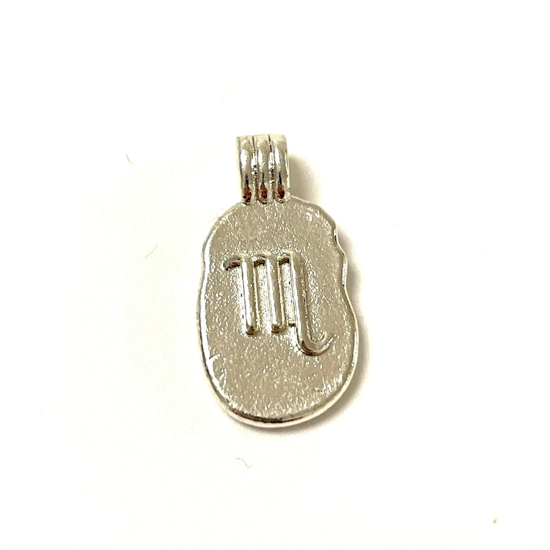 Silver Plated Brass Zodiac Horoscope Sign, Constellation Medallion Pendant, Celestial Astrology Charm for Necklace Jewelry Making