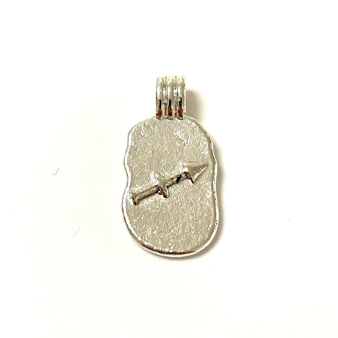 Silver Plated Brass Zodiac Horoscope Sign, Constellation Medallion Pendant, Celestial Astrology Charm for Necklace Jewelry Making