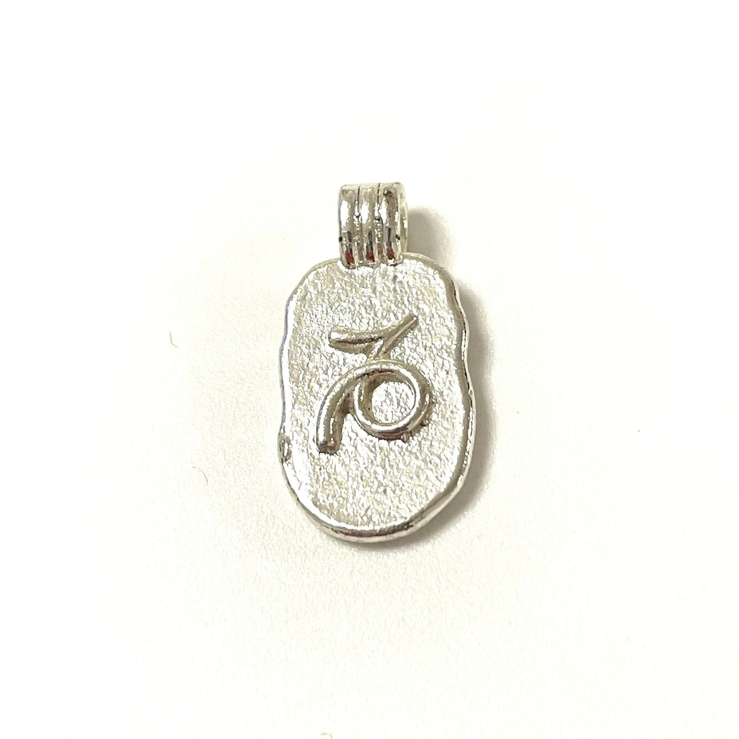 Silver Plated Brass Zodiac Horoscope Sign, Constellation Medallion Pendant, Celestial Astrology Charm for Necklace Jewelry Making