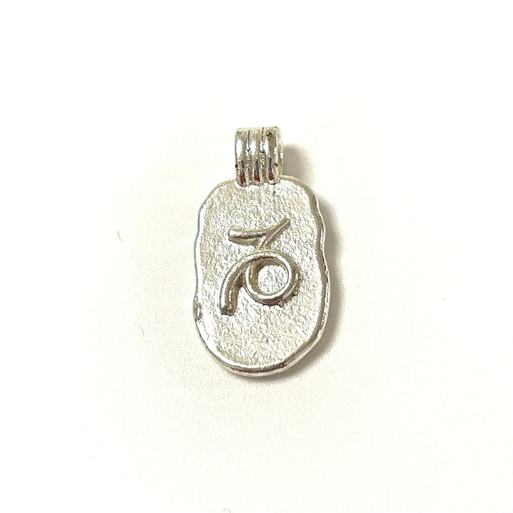 Silver Plated Brass Zodiac Horoscope Sign, Constellation Medallion Pendant, Celestial Astrology Charm for Necklace Jewelry Making
