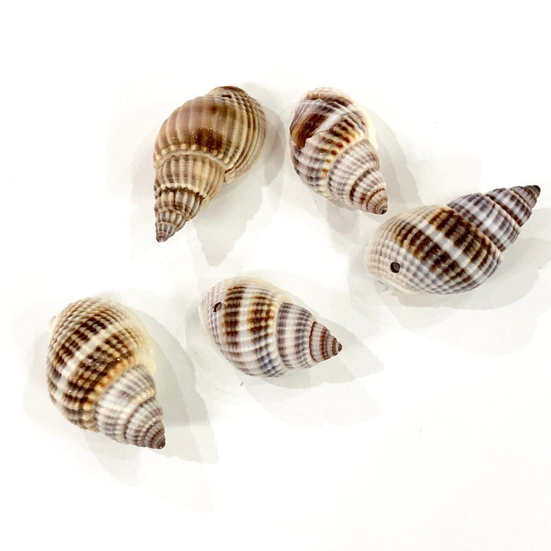 Natural Sea Shell Charms With Drilled Hole, Natural Sea Shell Pendants With Drilled Hole