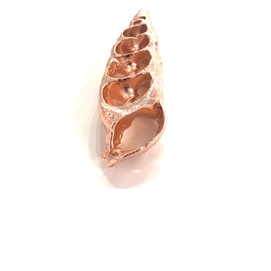 Rose Gold Plated Turritella Terebra Pendant