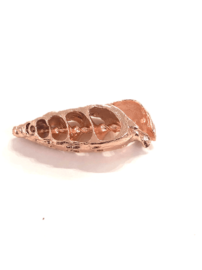 Rose Gold Plated Turritella Terebra Pendant