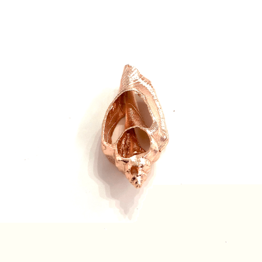 Rosévergoldeter Muschel-Charme